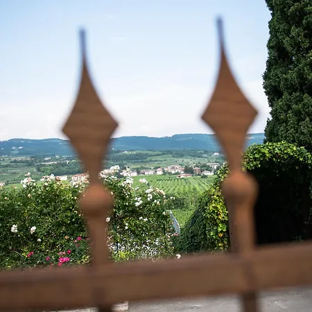 Moron Отель Неграр